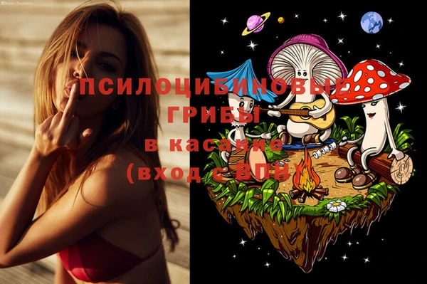 эйфоретик Киреевск