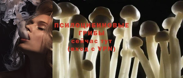 хмурый Киренск
