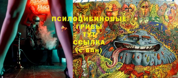 гидра Касимов